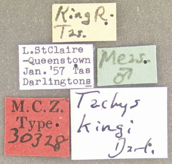 Media type: image;   Entomology 30328 Aspect: labels
